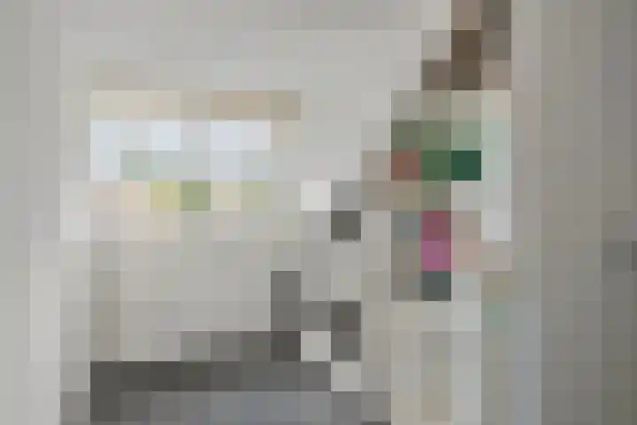 Kievitswei 14 Hilvarenbeek thumbnail 26