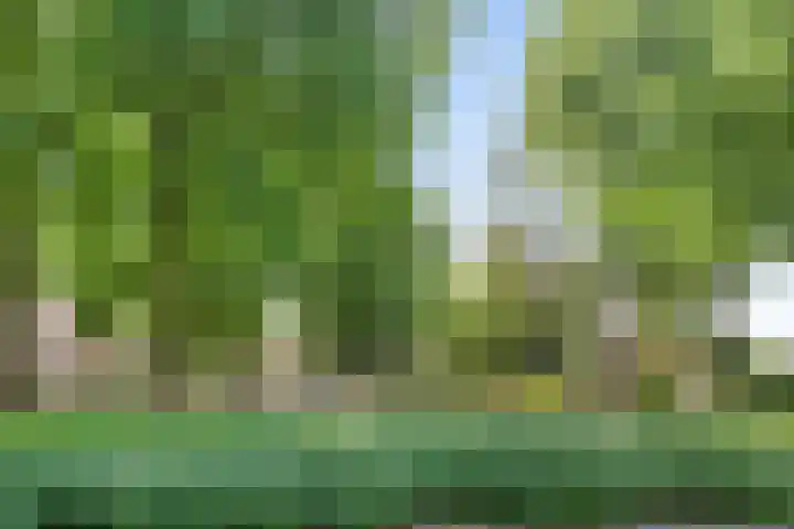 Kievitswei 14 Hilvarenbeek thumbnail 36