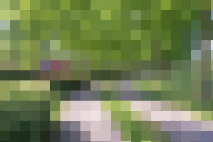 Kievitswei 14 Hilvarenbeek thumbnail 37