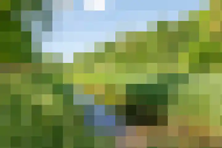 Kievitswei 14 Hilvarenbeek thumbnail 38