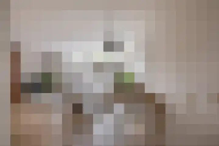 Kievitveld 1 Zoetermeer thumbnail 19