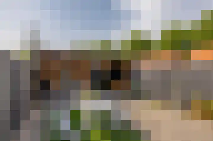 Kievitveld 1 Zoetermeer thumbnail 23