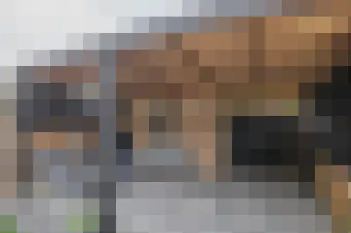 Kievitveld 1 Zoetermeer thumbnail 24