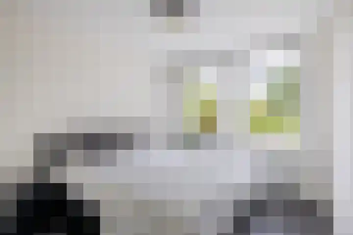 Kievitveld 1 Zoetermeer thumbnail 28