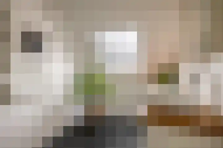 Kievitveld 1 Zoetermeer thumbnail 30