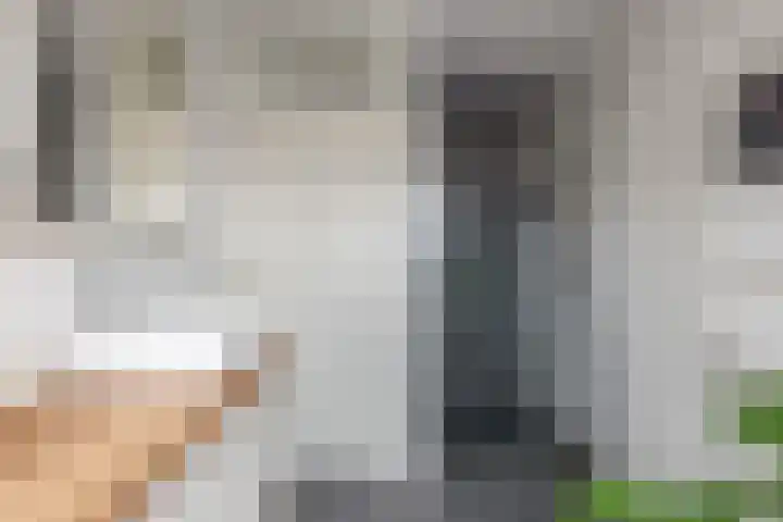 Kievitveld 1 Zoetermeer thumbnail 31