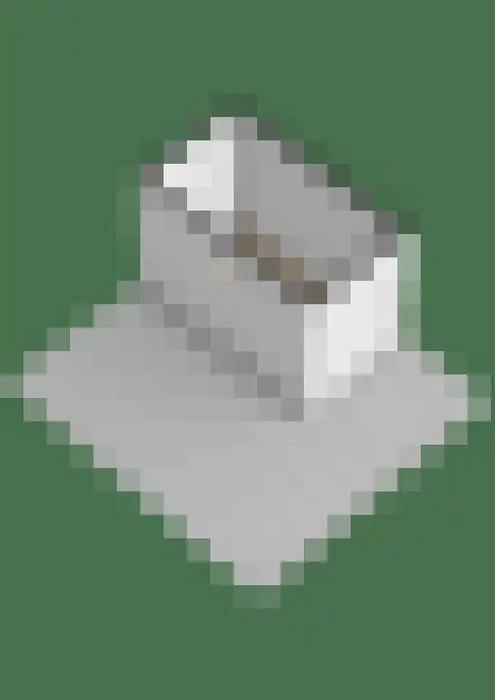 Kievitveld 1 Zoetermeer thumbnail 40