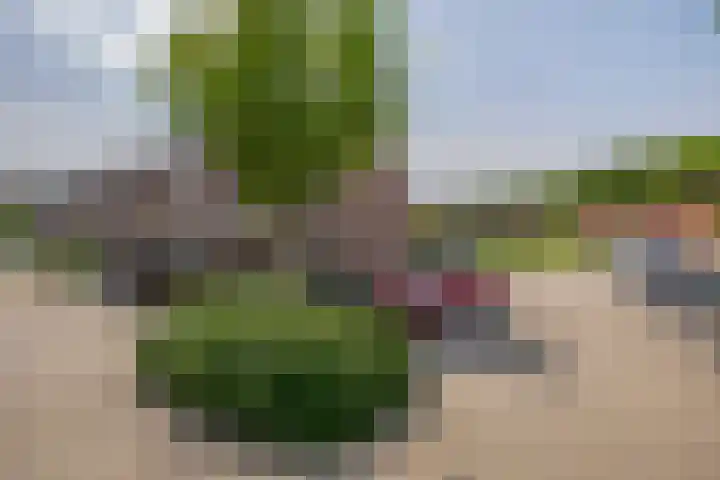Kievitveld 1 Zoetermeer thumbnail 6