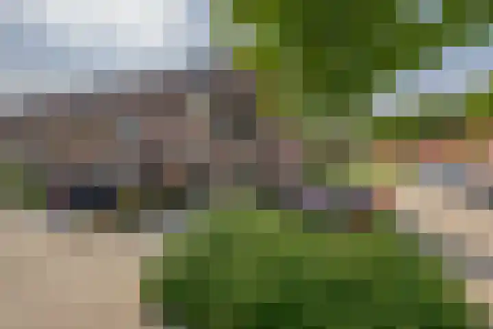 Kievitveld 1 Zoetermeer thumbnail 7
