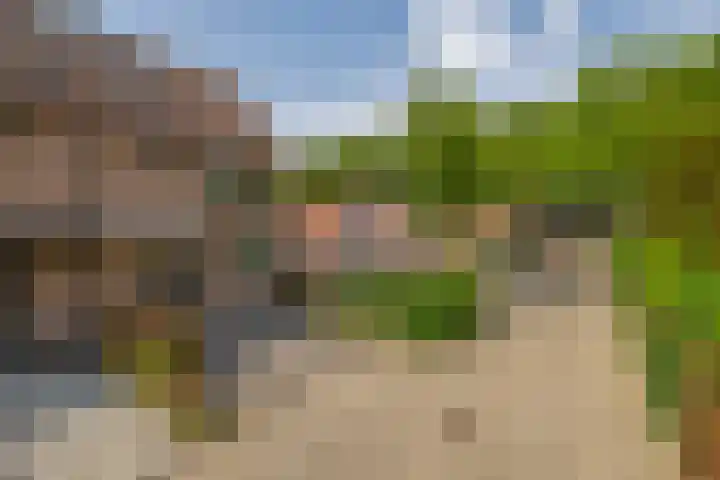 Kievitveld 1 Zoetermeer thumbnail 8