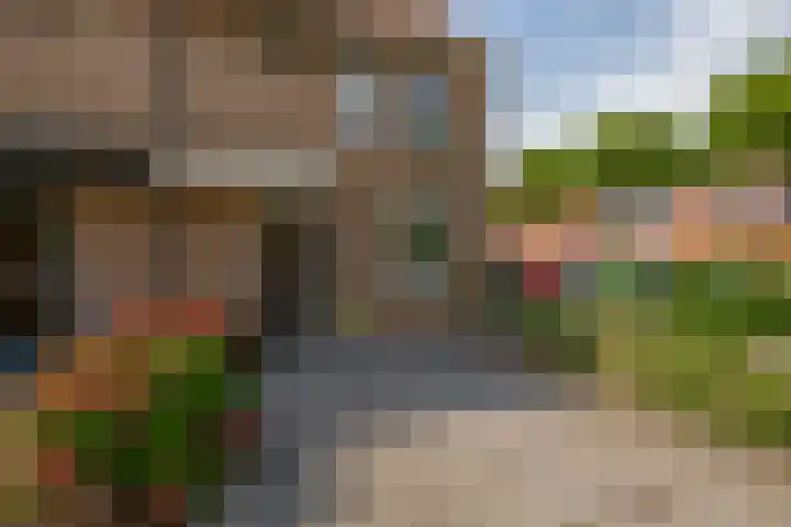 Kievitveld 1 Zoetermeer thumbnail 9
