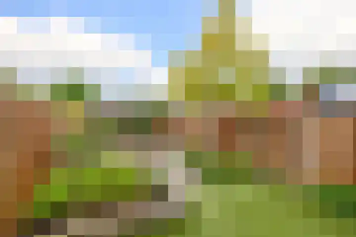 Kievitveld 9 Zoetermeer thumbnail 24