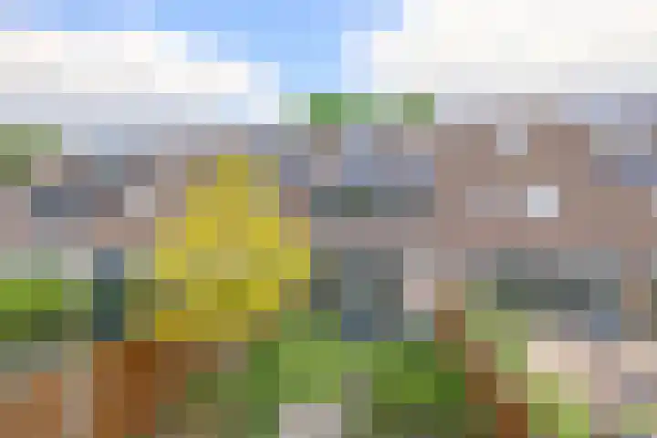 Kievitveld 9 Zoetermeer thumbnail 26