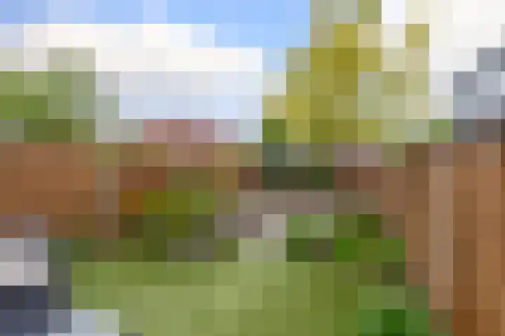 Kievitveld 9 Zoetermeer thumbnail 4