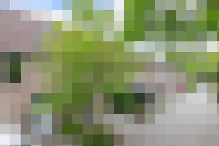Kievitveld 9 Zoetermeer thumbnail 6