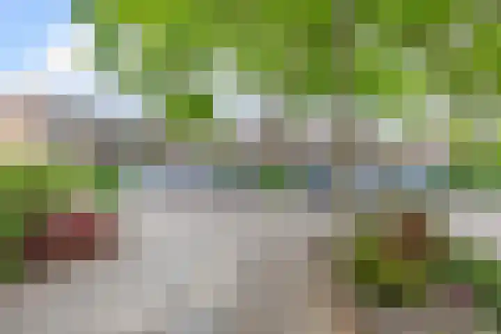 Kievitveld 9 Zoetermeer thumbnail 9