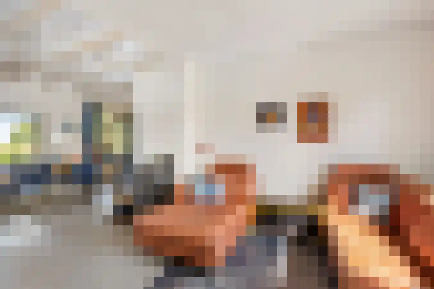 Kievitweg 1 Paterswolde thumbnail 19