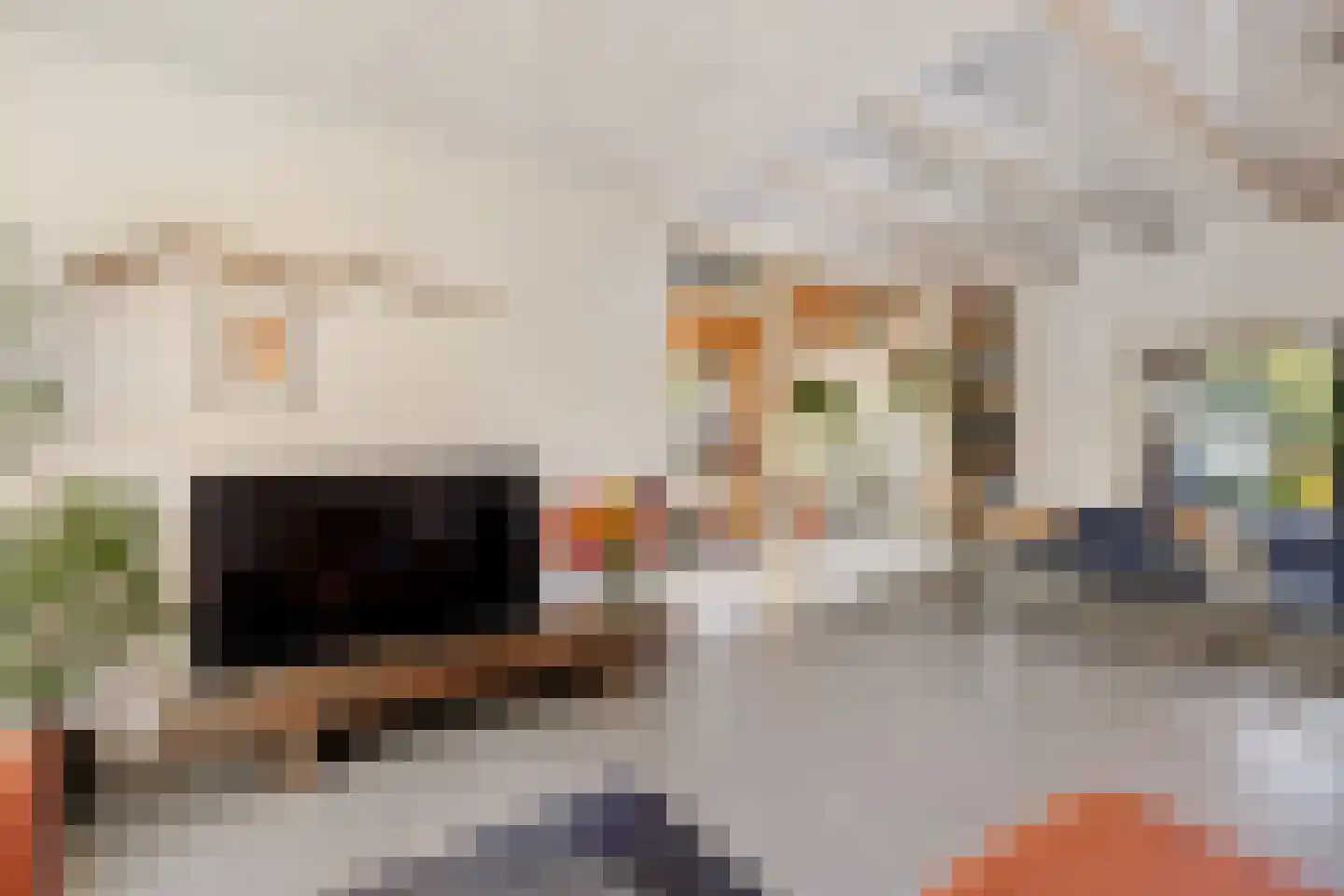 Kievitweg 1 Paterswolde thumbnail 20