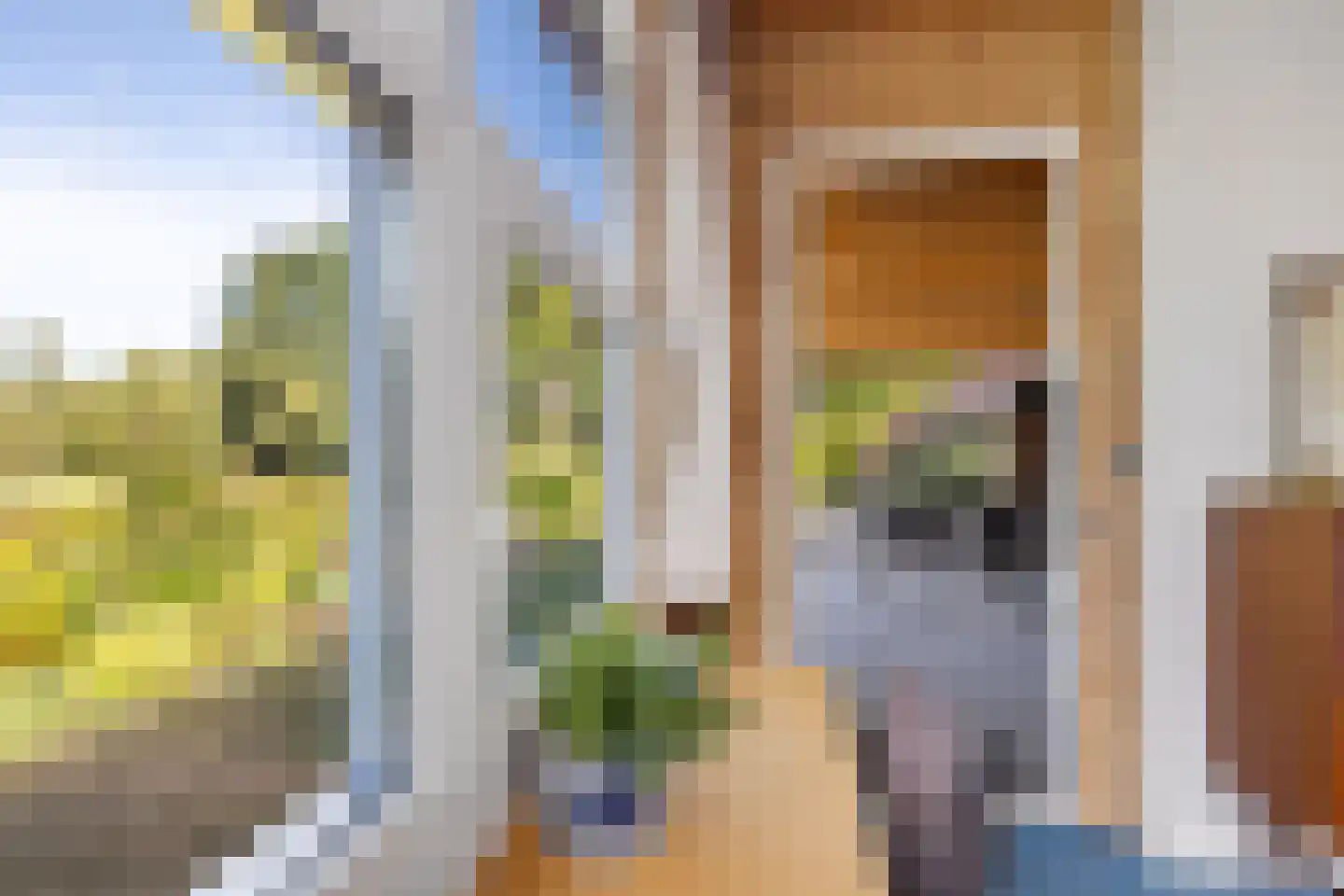 Kievitweg 1 Paterswolde thumbnail 26