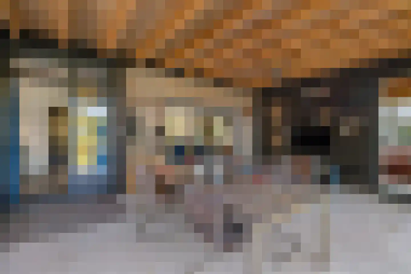 Kievitweg 1 Paterswolde thumbnail 27
