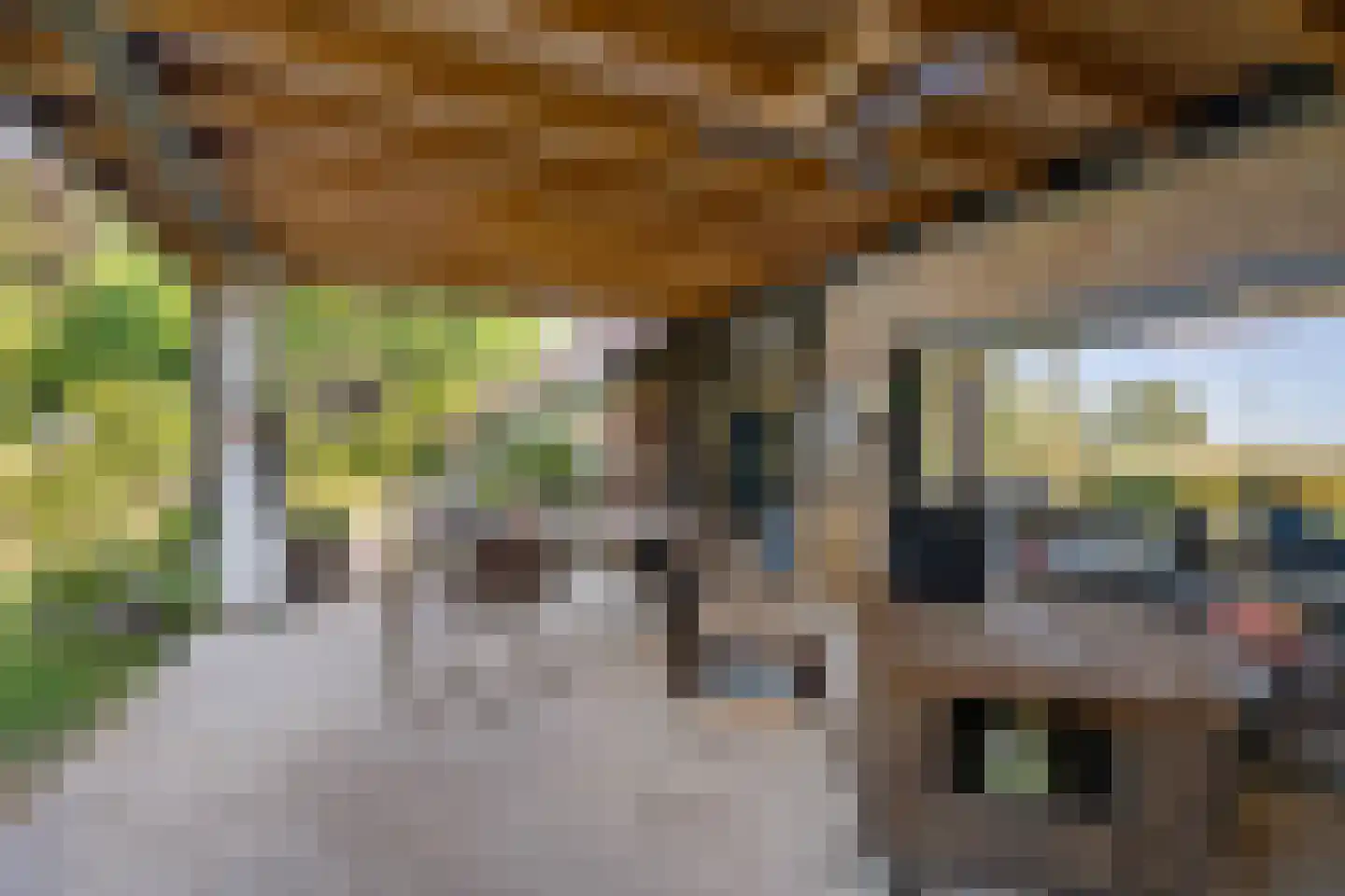 Kievitweg 1 Paterswolde thumbnail 28