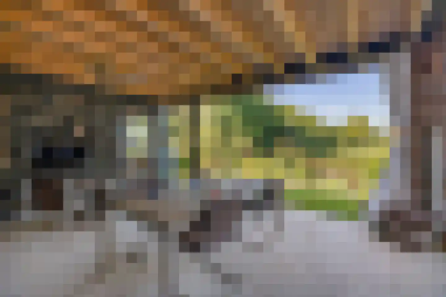 Kievitweg 1 Paterswolde thumbnail 29