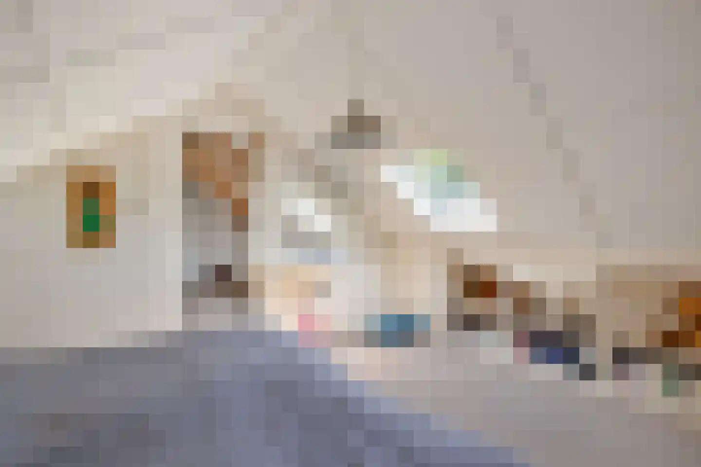 Kievitweg 1 Paterswolde thumbnail 32