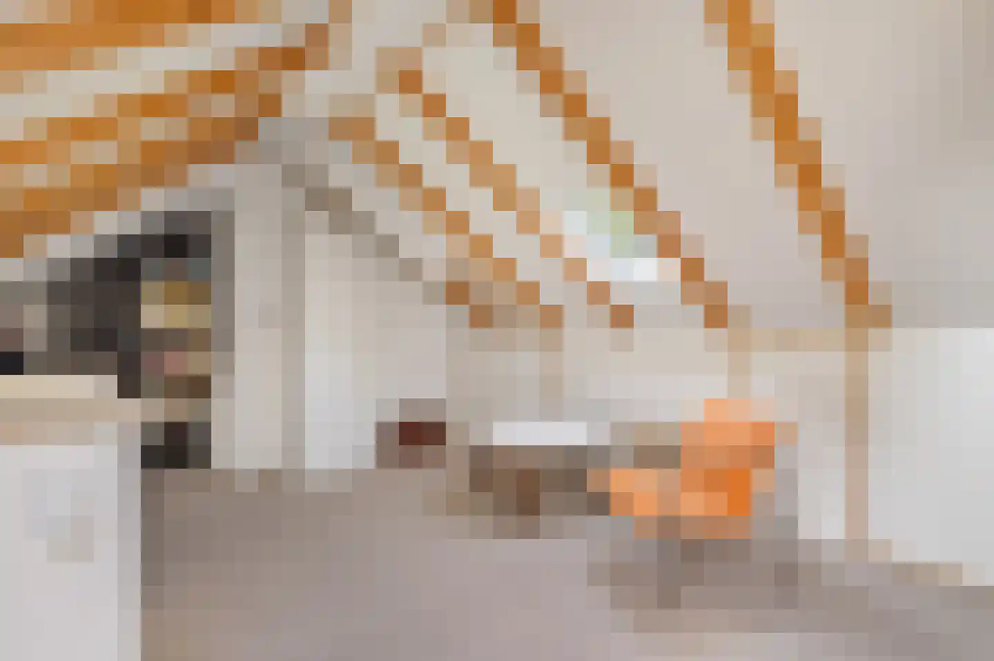 Kievitweg 1 Paterswolde thumbnail 33