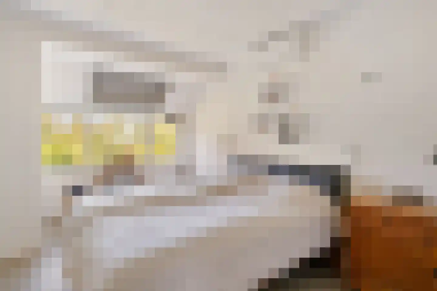 Kievitweg 1 Paterswolde thumbnail 39