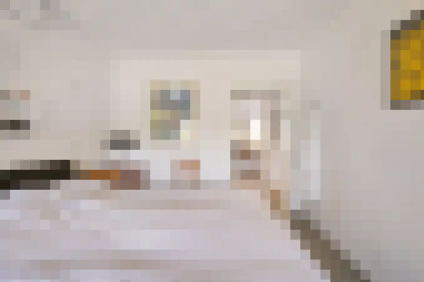 Kievitweg 1 Paterswolde thumbnail 40