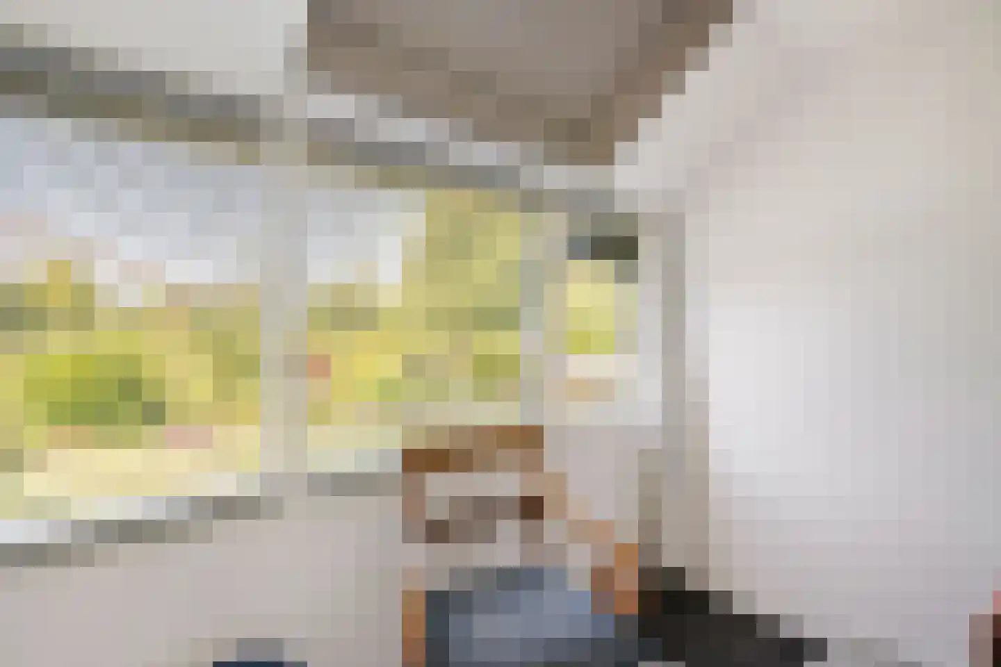 Kievitweg 1 Paterswolde thumbnail 41