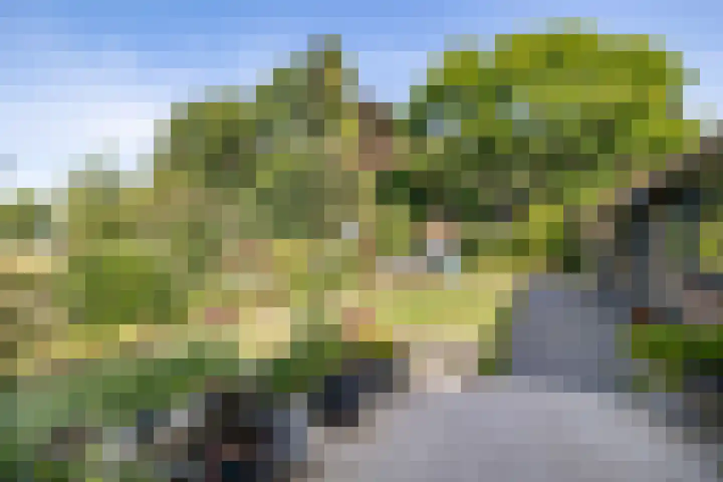 Kievitweg 1 Paterswolde thumbnail 43