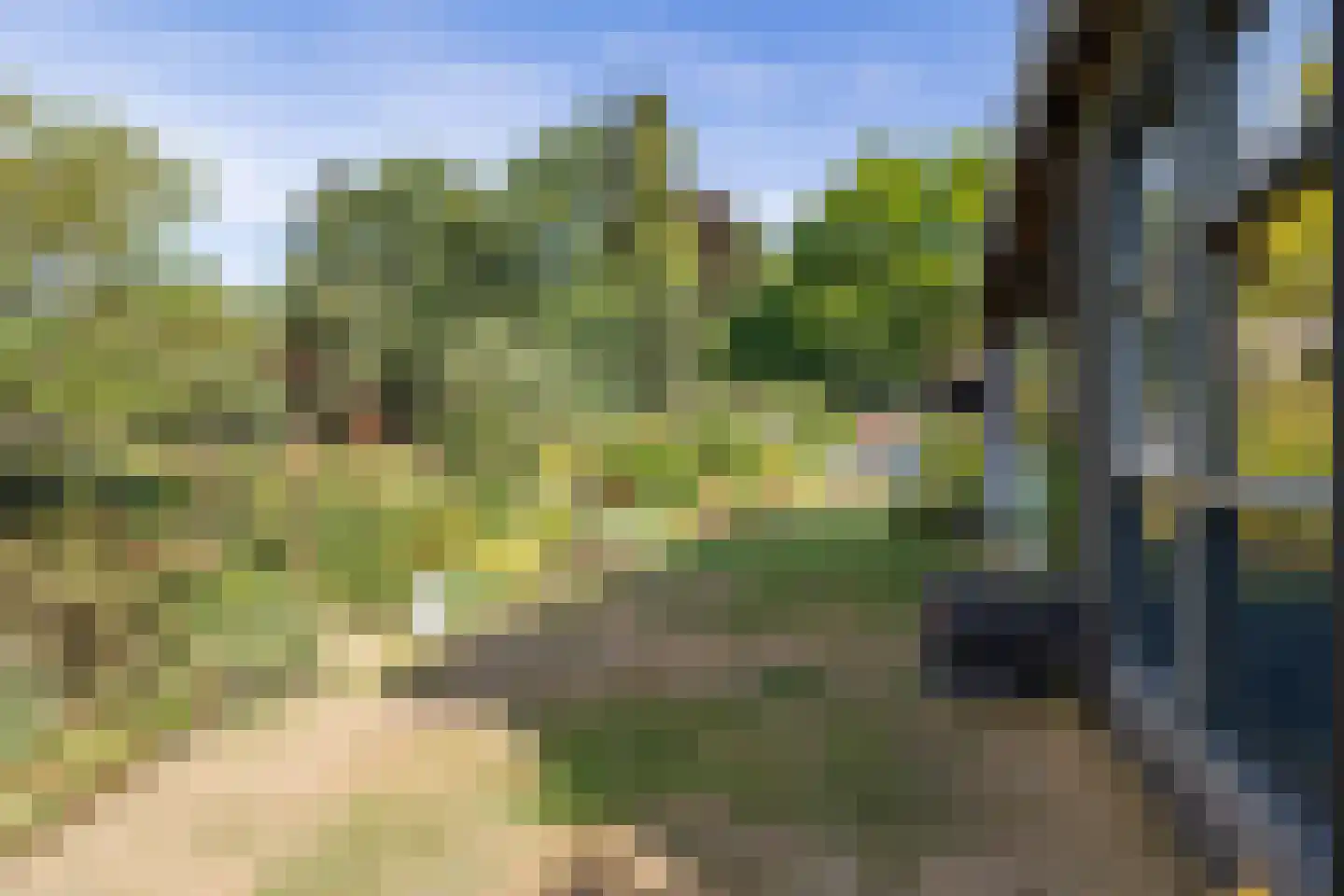 Kievitweg 1 Paterswolde thumbnail 45