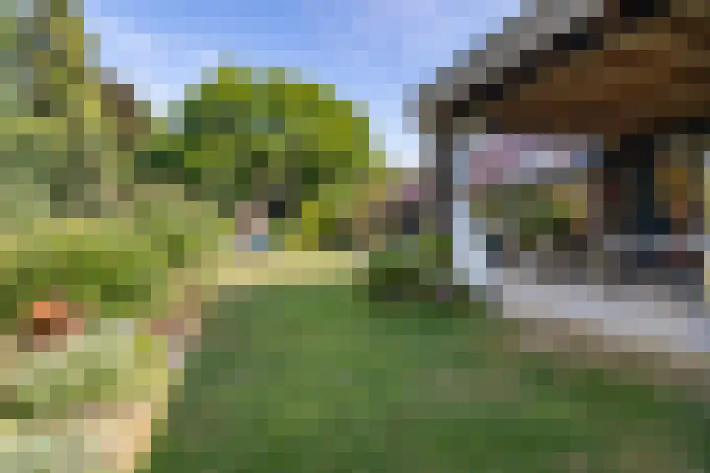 Kievitweg 1 Paterswolde thumbnail 46