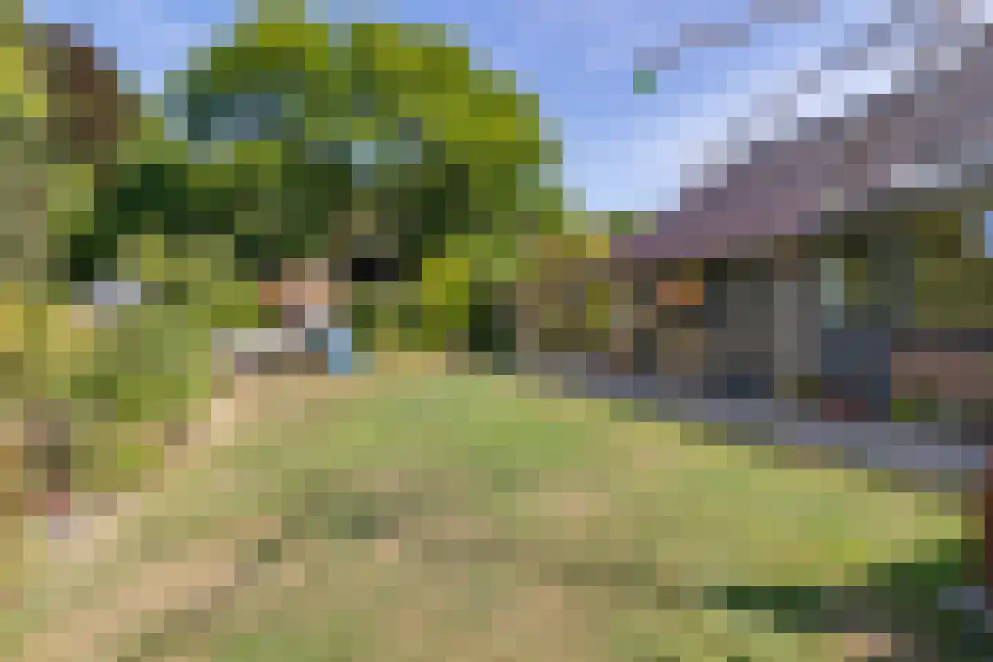 Kievitweg 1 Paterswolde thumbnail 47