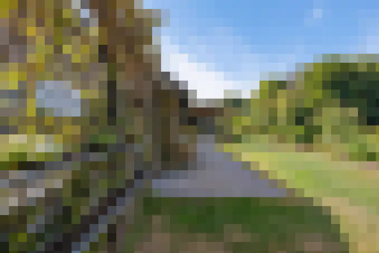 Kievitweg 1 Paterswolde thumbnail 50