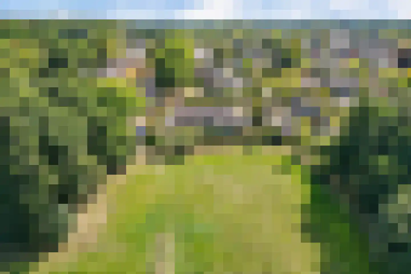 Kievitweg 1 Paterswolde thumbnail 51