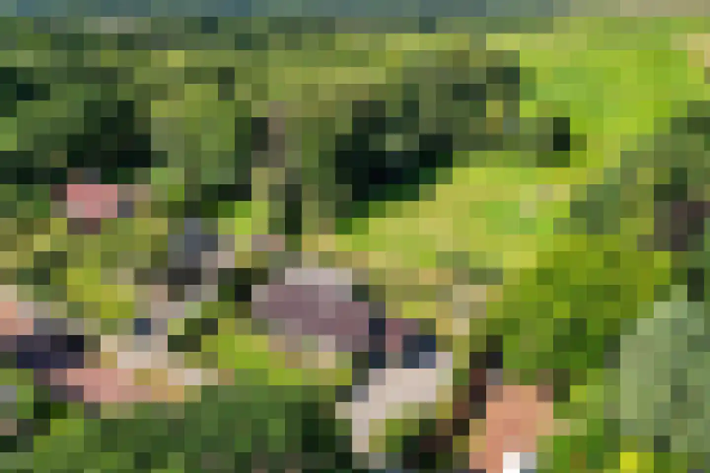 Kievitweg 1 Paterswolde thumbnail 53