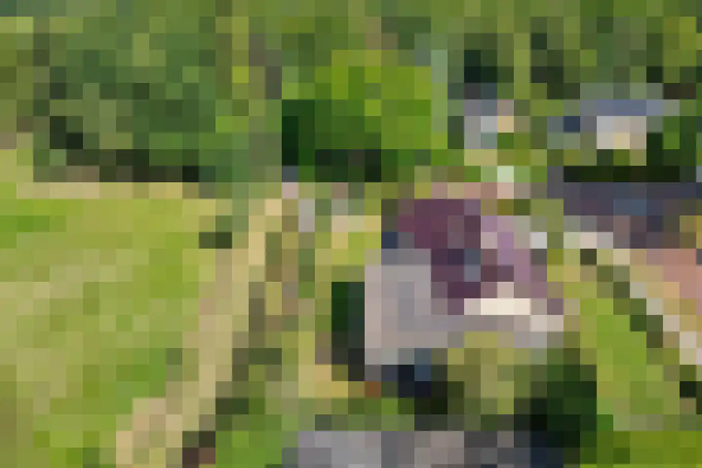 Kievitweg 1 Paterswolde thumbnail 54