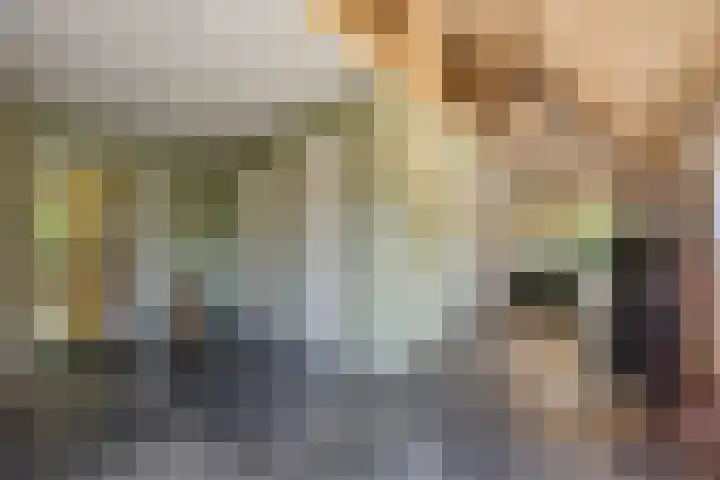 Kievitweg 2 Escharen thumbnail 16