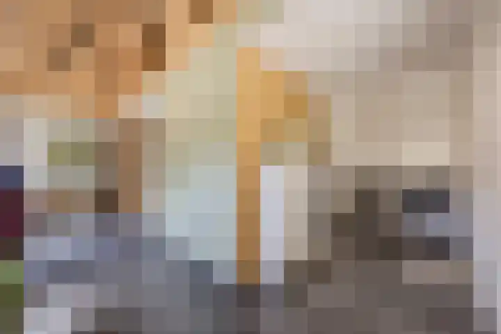 Kievitweg 2 Escharen thumbnail 17