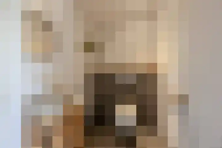 Kievitweg 2 Escharen thumbnail 18