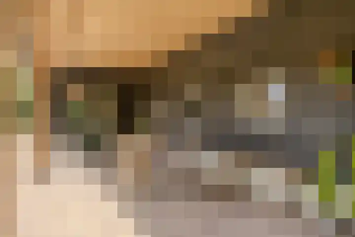 Kievitweg 2 Escharen thumbnail 26