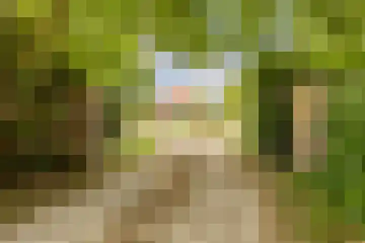 Kievitweg 2 Escharen thumbnail 29