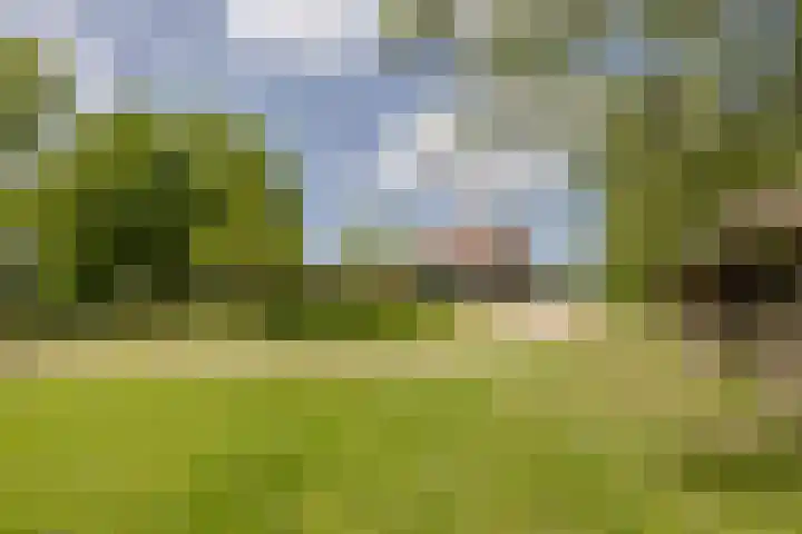 Kievitweg 2 Escharen thumbnail 30
