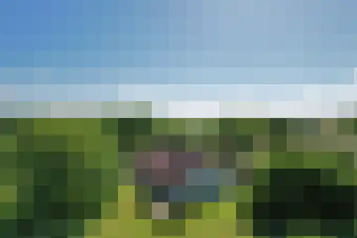 Kievitweg 2 Escharen thumbnail 31