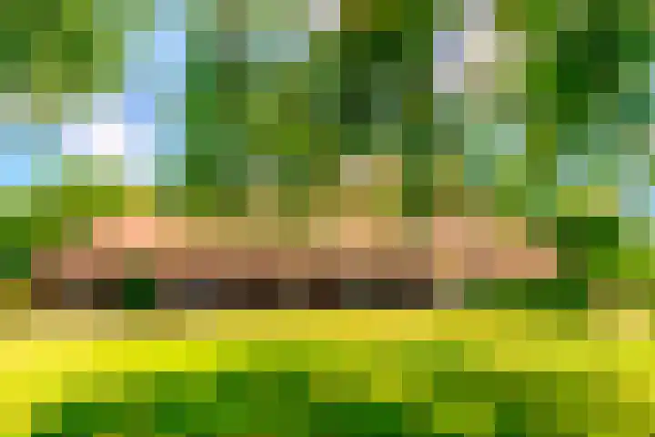 Kievitweg 2 Escharen thumbnail 33