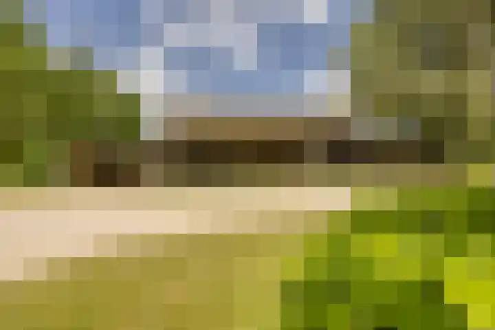 Kievitweg 2 Escharen thumbnail 34