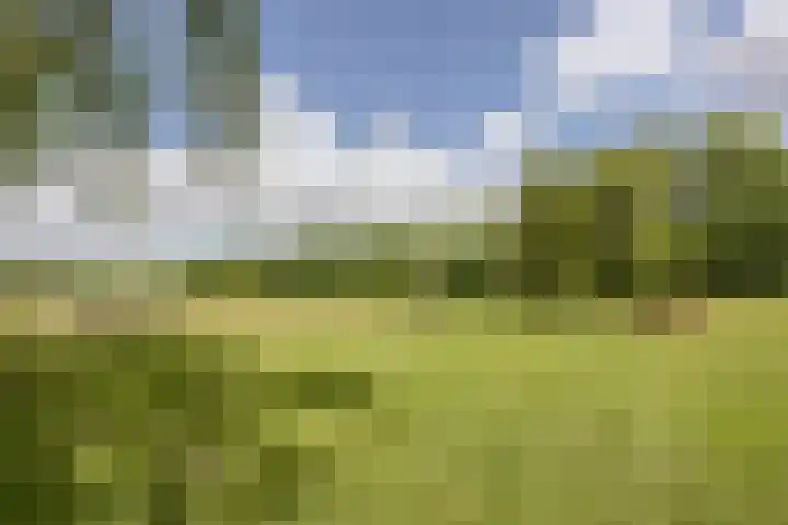 Kievitweg 2 Escharen thumbnail 35