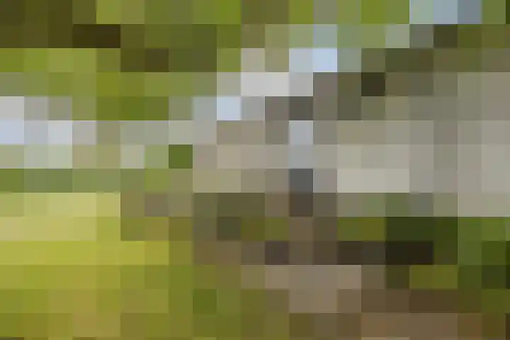 Kievitweg 2 Escharen thumbnail 36
